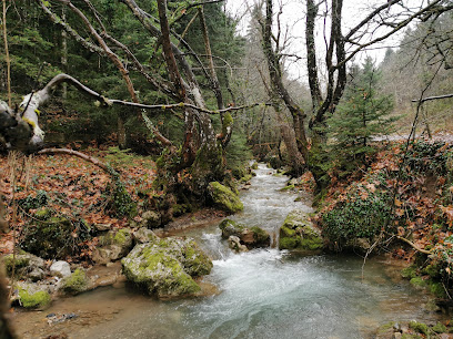 Pavliani Recreation Park